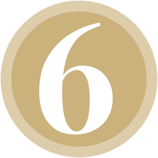 Badge 6